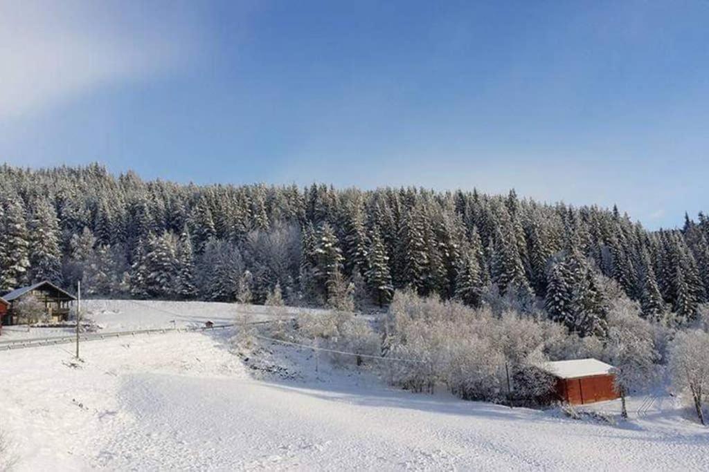 Dalen Studio 1 Exteriér fotografie